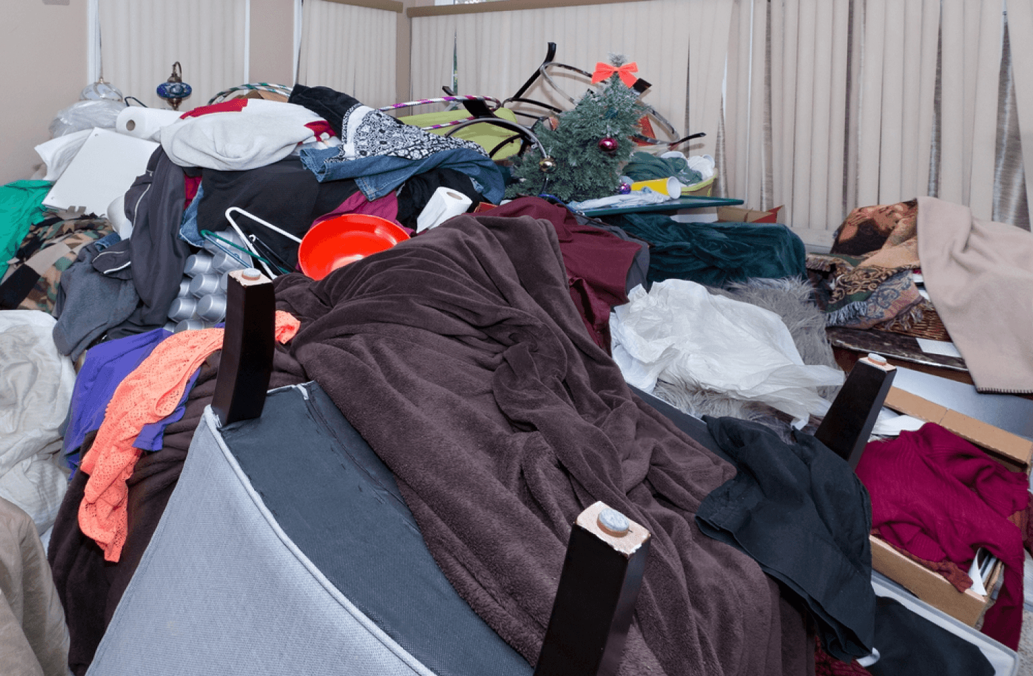 Hoarding Cleanup
